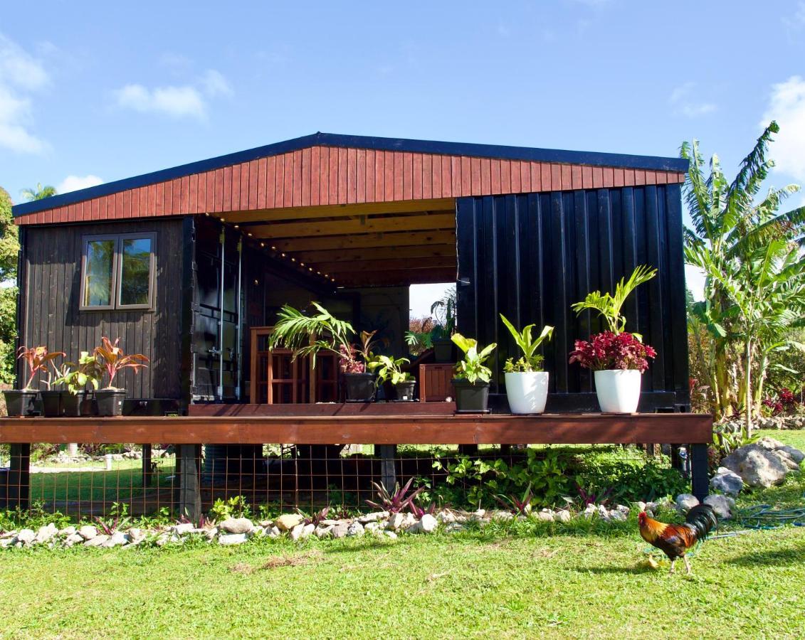 'Are Pepe One Bedroom Container Style Unit راروتونغا المظهر الخارجي الصورة